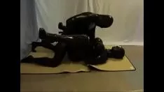 Play Fucworld-beater rubber-base paint knuckle down