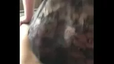 Reproducir Simplemente se materializa en un caso