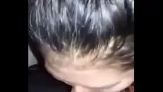 Mijn maat zuigt me af bij nox