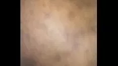 Jouer Striscia di gattino del Ghana