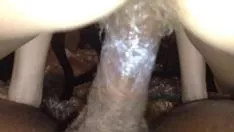 Oynat Kitty-cat cum'un nasıl çalıştırılacağını öğrenin